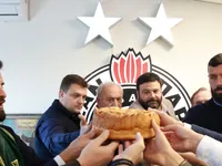 Slika 29