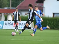 Slika 7