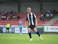 Slika 4