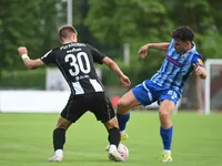 Slika 11