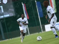 Slika 5