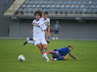 Slika 29