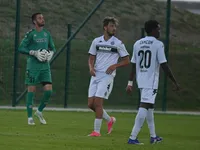 Slika 32