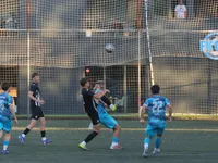 Slika 30