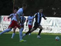 Slika 11