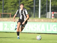 Slika 10