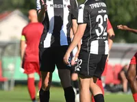 Slika 29
