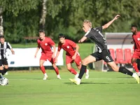 Slika 28