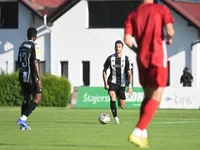 Slika 21