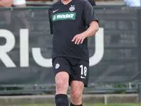 Slika 30