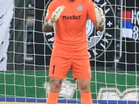 Slika 13