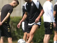 Slika 29