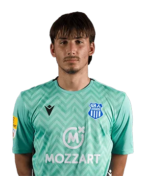 Slika igrača