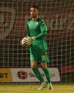 Slika 33