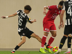 Slika 20