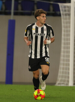 Slika 29
