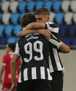 Slika 48