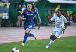 Slika 50