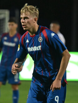 Slika 42