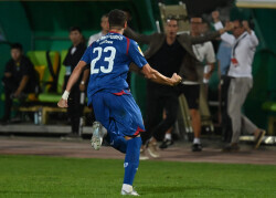 Slika 31