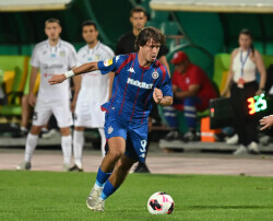 Slika 25