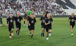 Slika 30