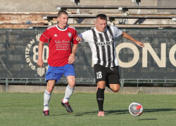Slika 29