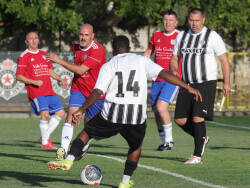 Slika 24