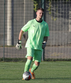 Slika 19