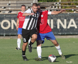 Slika 10