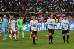 Slika 33