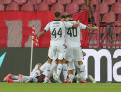 Slika 25