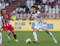 Slika 19