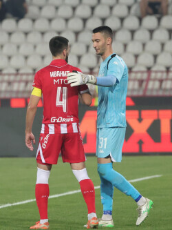 Slika 1