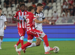 Slika 81
