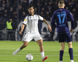 Slika 19