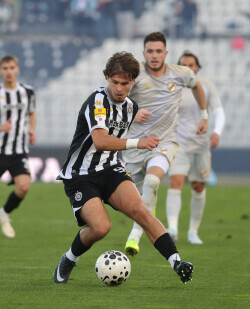 Slika 5