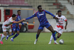 Slika 33