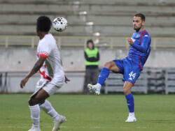 Slika 29